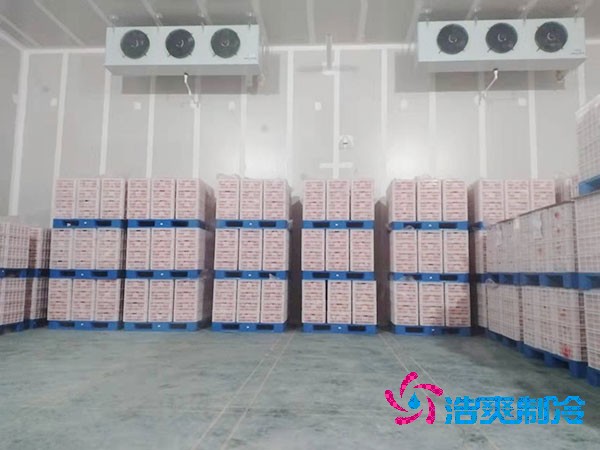 氣調(diào)保鮮冷庫造價解析與建造服務(wù)