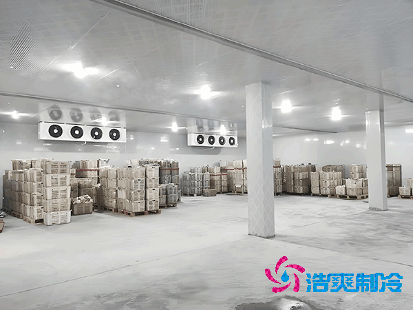 食品冷凍庫安裝