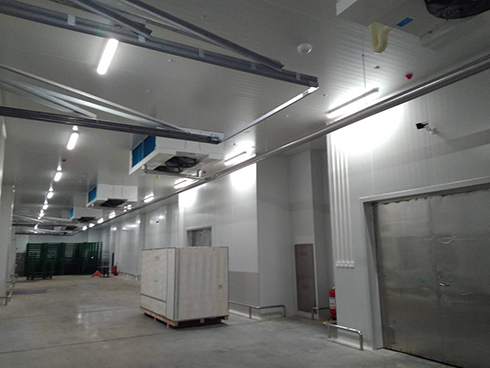 河北周黑鴨新工廠項(xiàng)目1#車間冷庫(kù)建造 河北周黑鴨新工廠項(xiàng)目1#車間冷庫(kù)建造